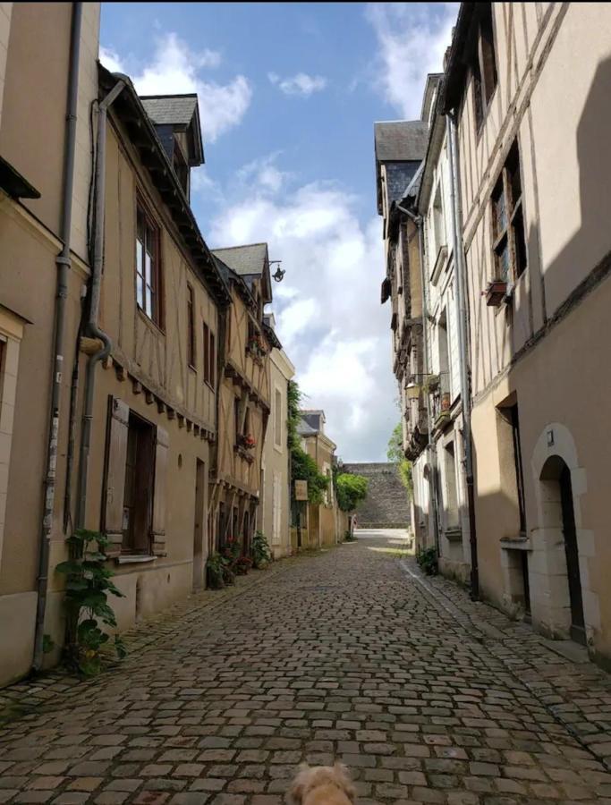 Le Chateau 앙제 외부 사진